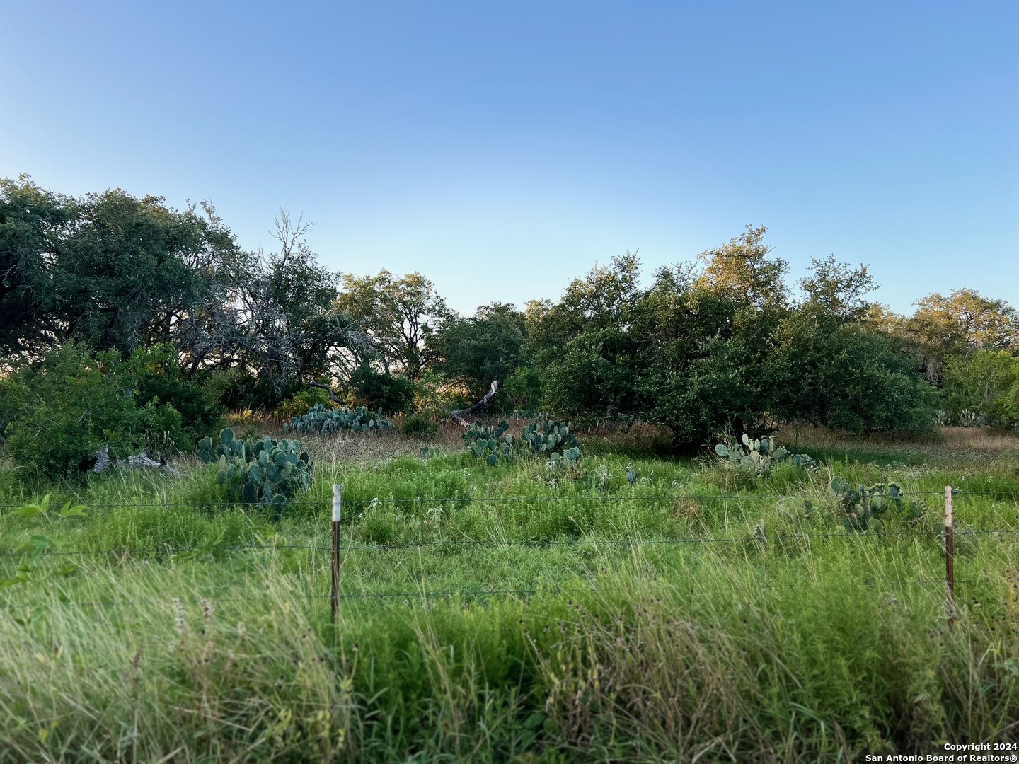 0 Bruce Road Pleasanton, TX 78064 - Photo 7 of 17