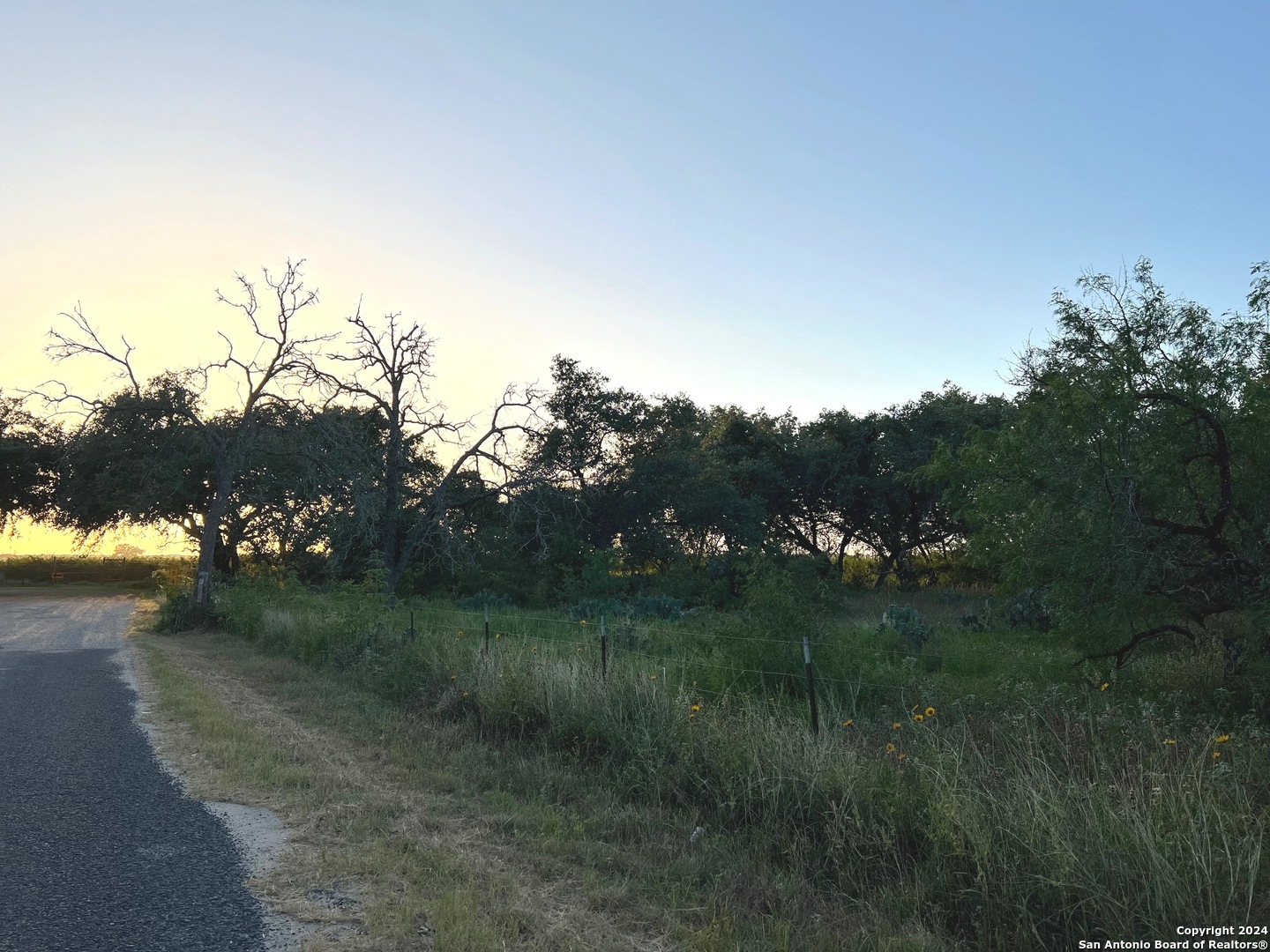 0 Bruce Road Pleasanton, TX 78064 - Photo 8 of 17