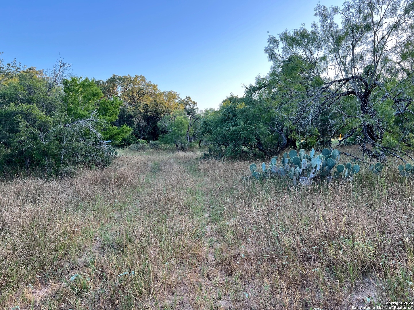 0 Bruce Road Pleasanton, TX 78064 - Photo 9 of 17