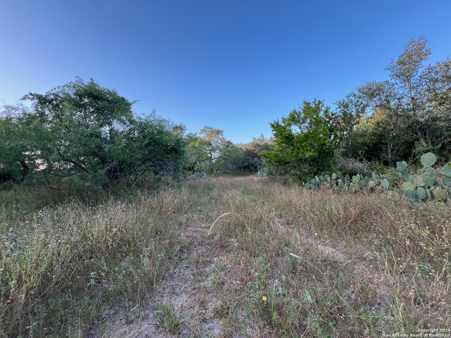 0 Bruce Road Pleasanton, TX 78064 - Photo 10 of 17