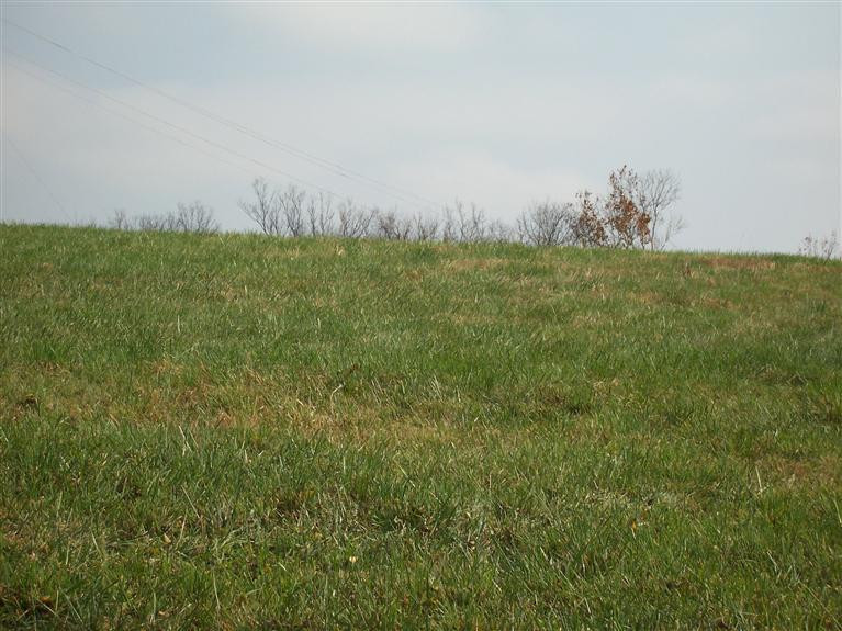 2382 Union Mill Road Nicholasville, KY 40356 - Photo 10 of 39 Photo 10