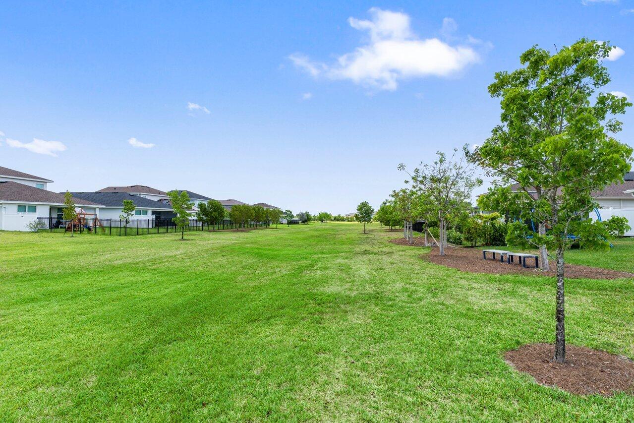 19659 Rugged Trunk Trail Loxahatchee, FL 33470 - Photo 36 of 61 a view of yard with grass & street