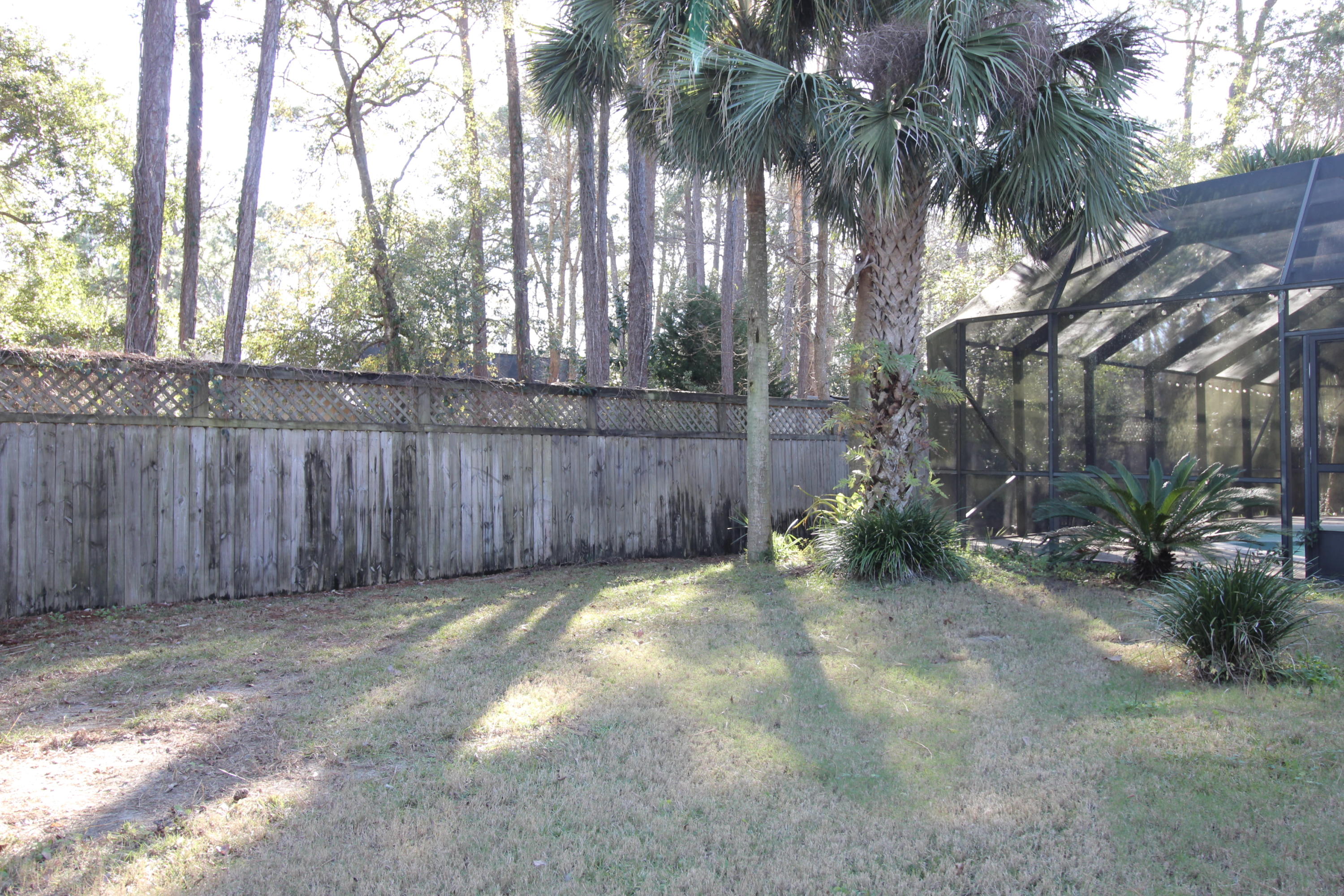 189 Red Maple Way Niceville, FL 32578 - Photo 52 of 58 a view of backyard with tree