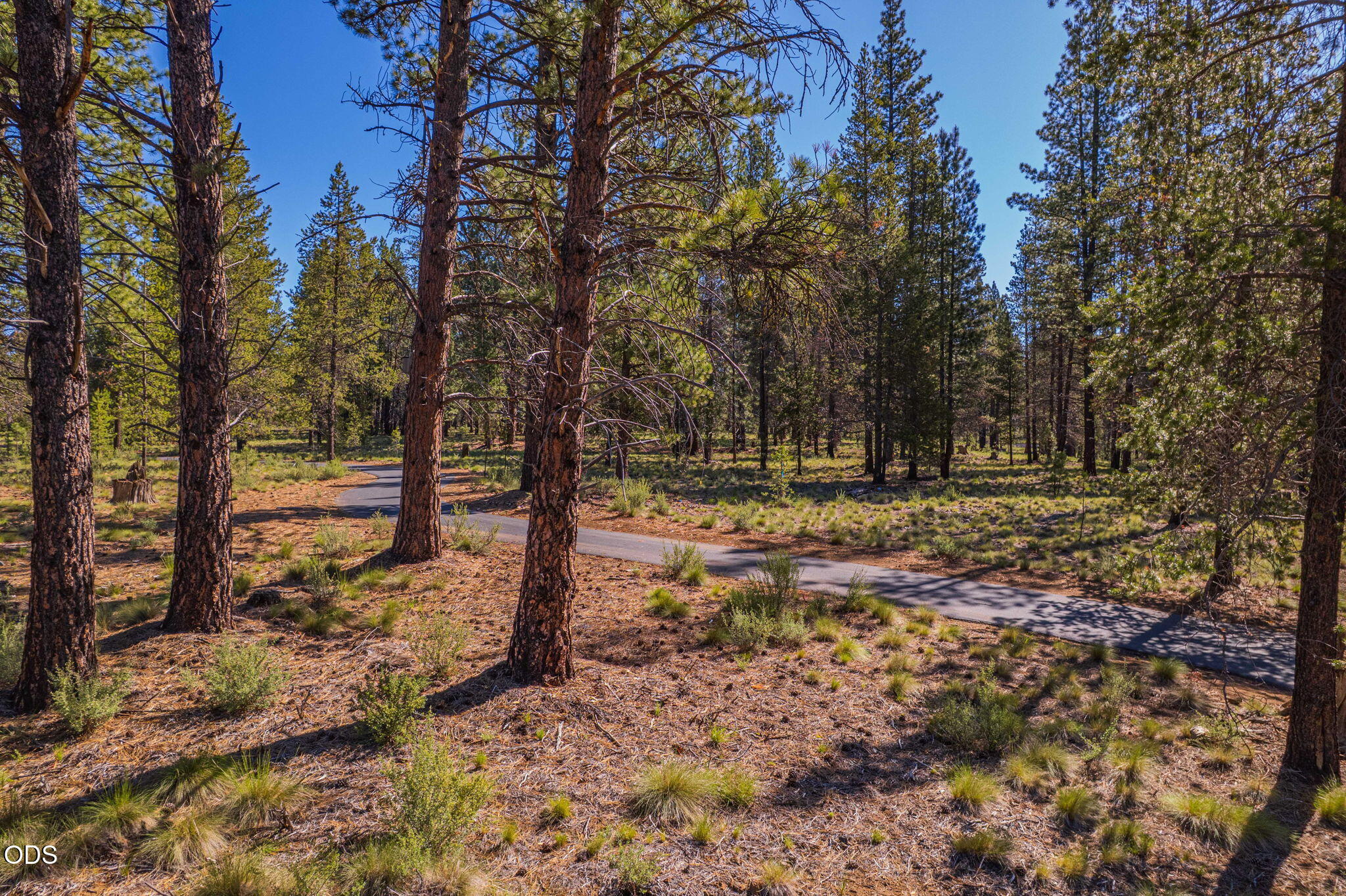56319 Mirror Rock Loop Bend, Unit 337 Bend, OR 97707 - Photo 3 of 18