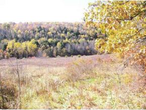 520 Beaver Lake Road Windsor, NY 13865 - Photo 4 of 5