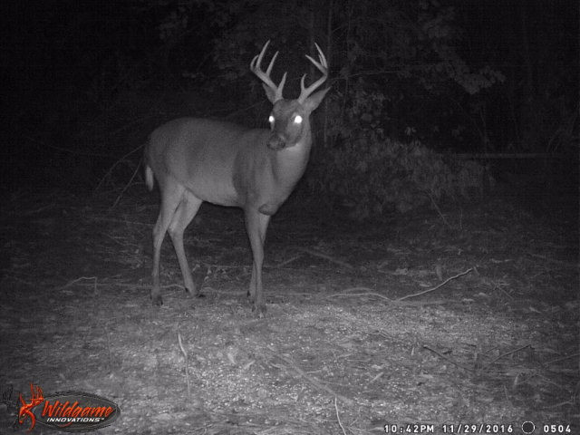 Xxx Glen Carter Road Magnolia, MS 39652 - Photo 1 of 1 Main View