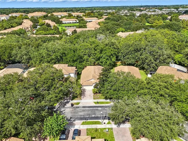 a view of a yard with plants