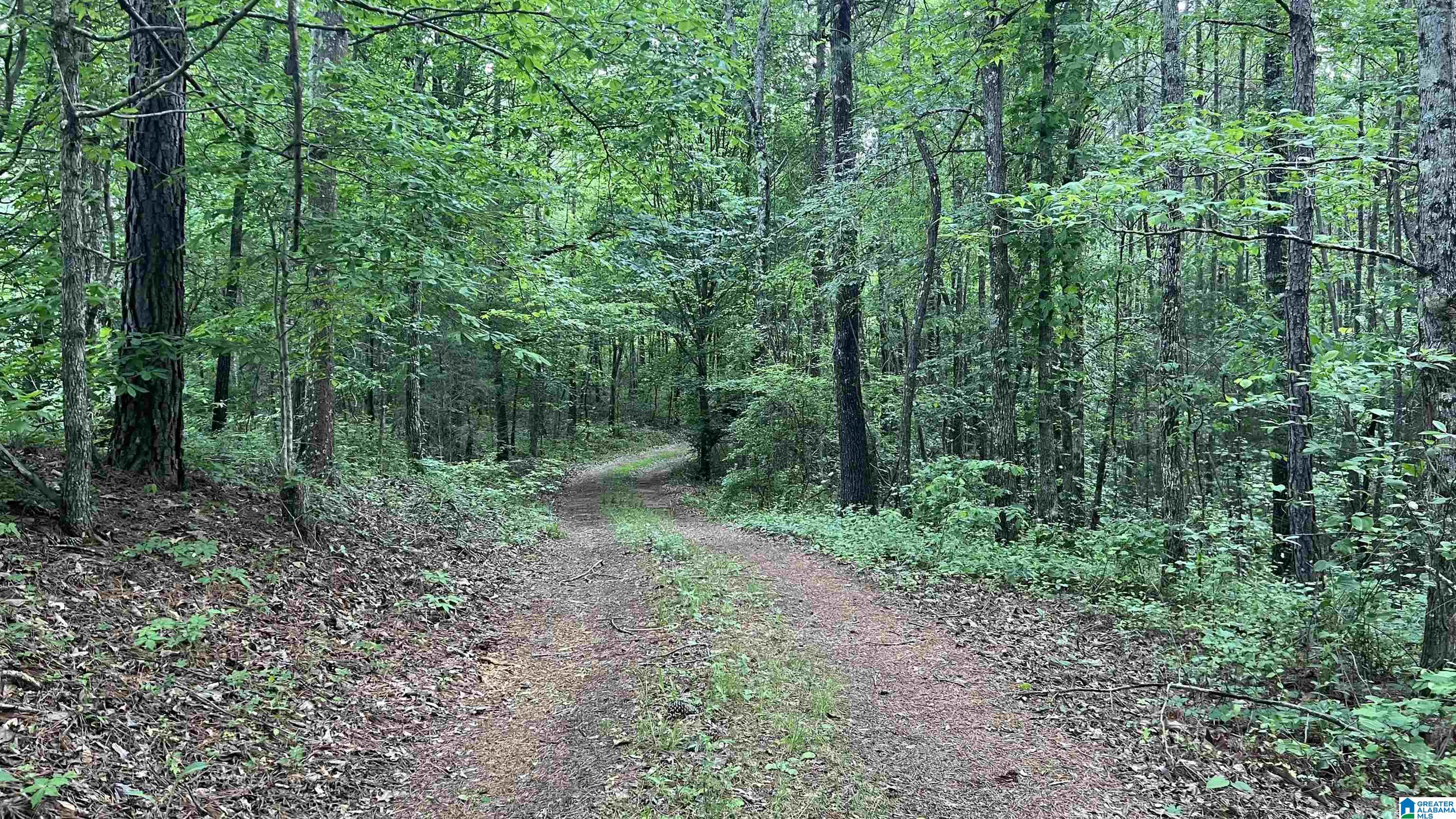 Lot 8 Woods Bend Road, Unit LOT 8 Ragland, AL 35131 - Photo 13 of 28