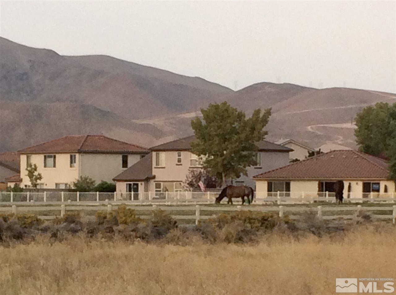 1790 Dark Horse Road, Unit A Reno, NV 89521 - Photo 33 of 39 Photo 34