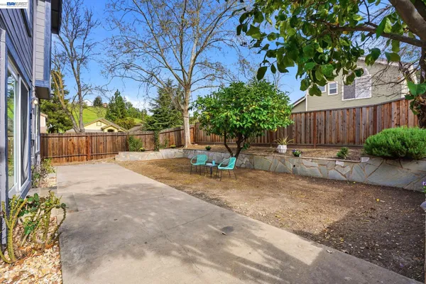 a view of a outdoor space with a tree