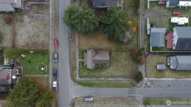 a view of a yard with a tree