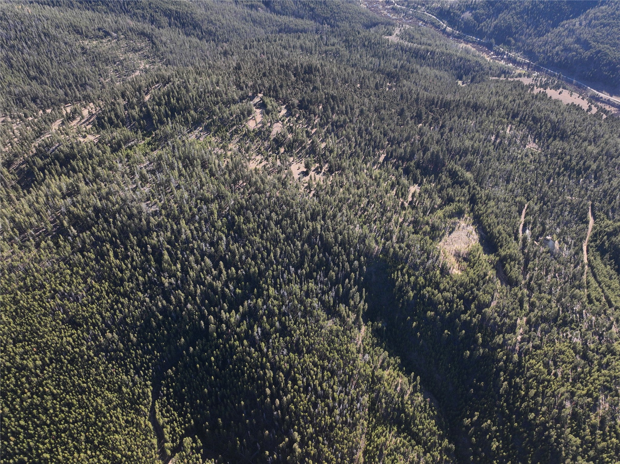 Lot 8 Ruby Street Butte, MT 59701 - Photo 15 of 34 Gallery Image 15