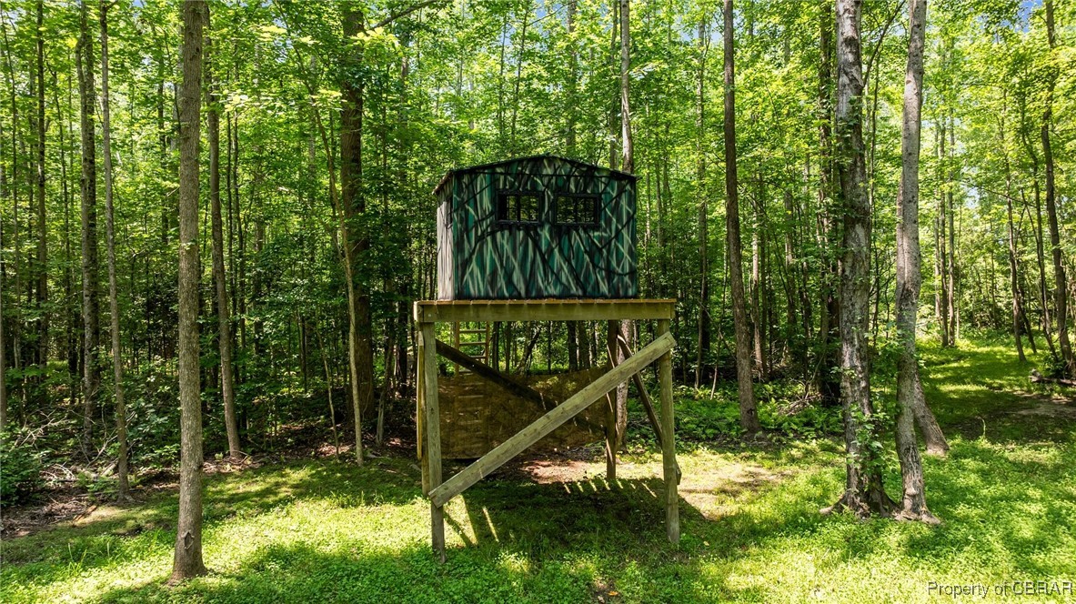 34 Acres Windsor Road North, VA 23128 - Photo 19 of 33 Raised hunting blind
