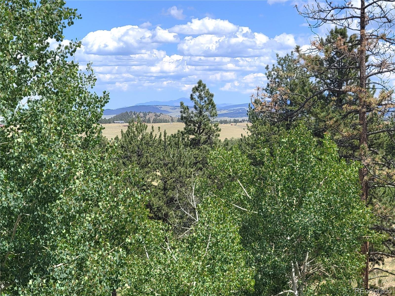 5076 Campfire Road Hartsel, CO 80449 - Photo 12 of 35 a view of a bunch of trees