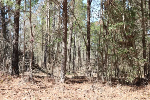 a view of outdoor space with yard
