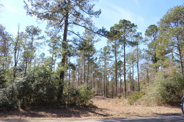 a view of outdoor space and trees