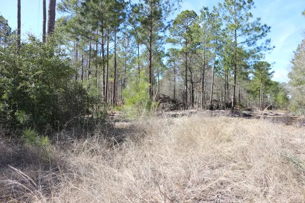 $50,000 | 7-2 North N Highway, Onalaska, TX 77360