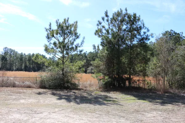 a front view of a house with a tree