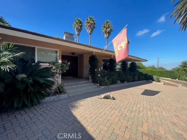 a front view of a house with yard