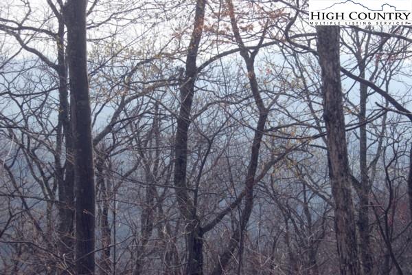 Junlaluska Road Boone, NC 28607 - Photo 2 of 4 a backyard of a house with lots of trees