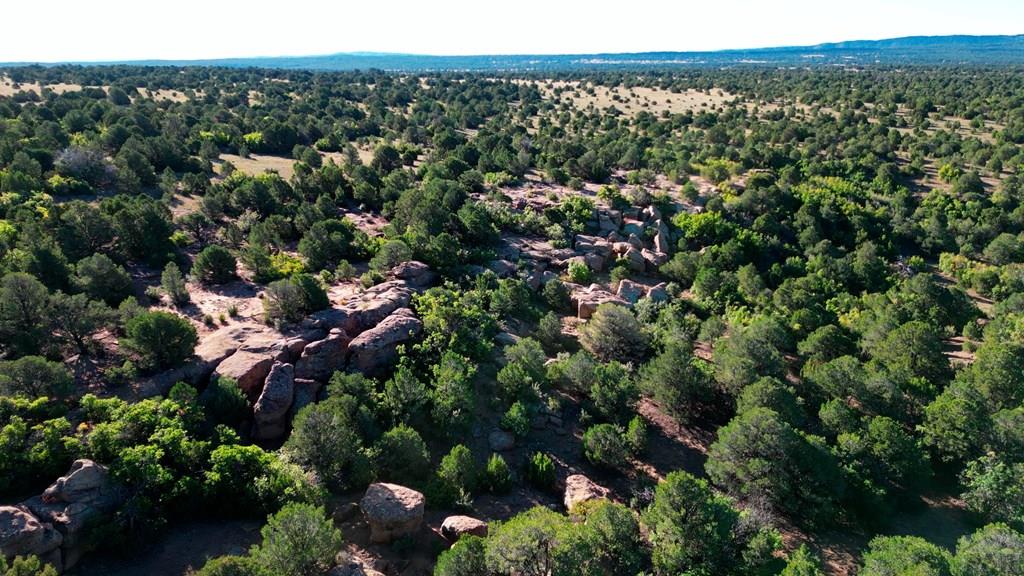 Tbd Bear Creek Road Walsenburg, CO 81089 - Photo 10 of 37