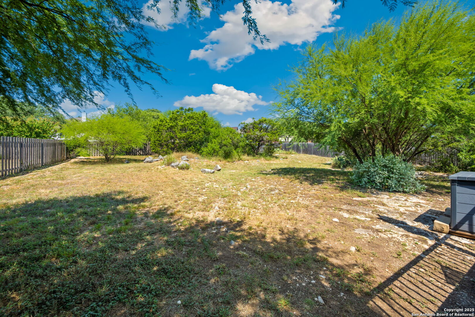 14507 John David Helotes, TX 78023 - Photo 25 of 49 a view of a yard with a tree