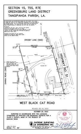 $285,000 | 51 Black Cat Road, Independence, LA 70443