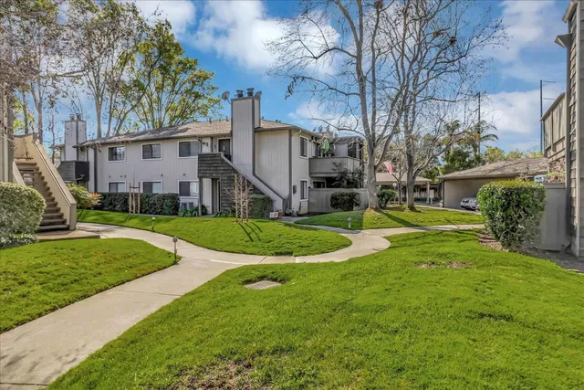 a view of a white house next to a yard and a large tree