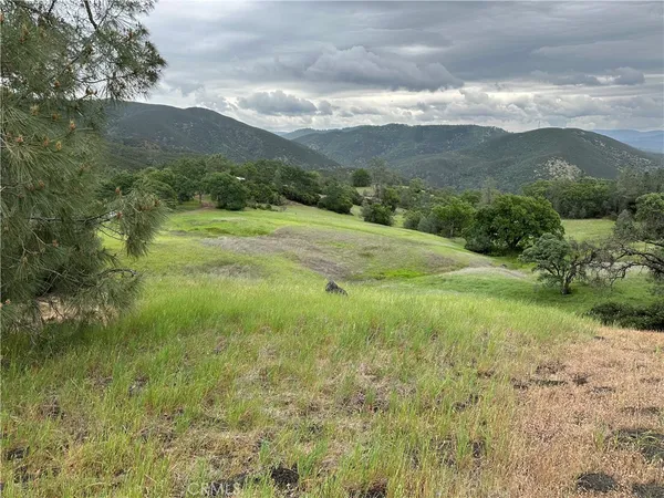 a view of an mountain with a garden