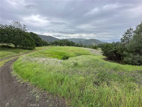 a view of an outdoor space and a yard