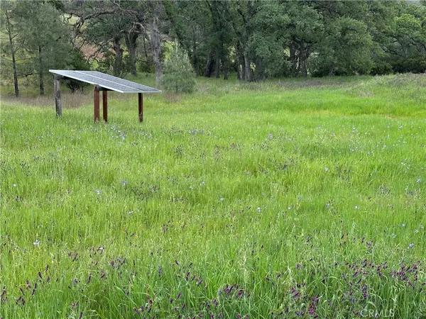 a backyard of a house with lots of green space and trees