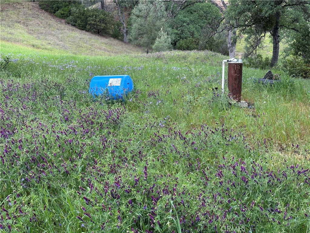 666 Watertrough Road Clearlake Oaks, CA 95423 - Photo 8 of 12