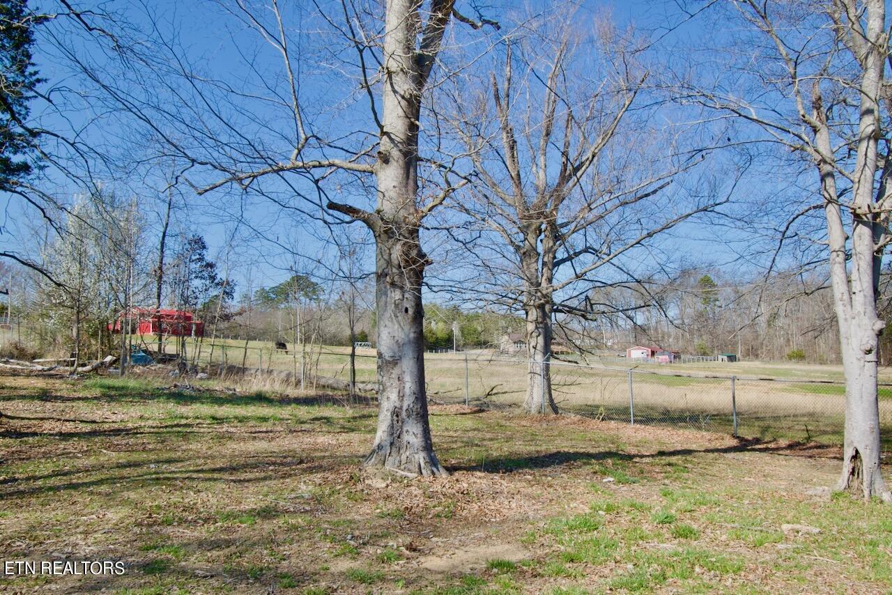 233 Doc Norton Road Maryville, TN 37804 - Photo 34 of 39 DSC_0696