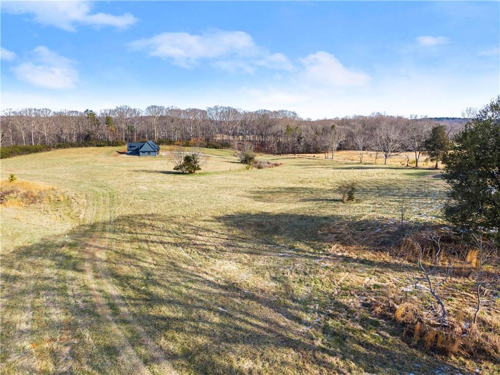 0 Brockton Loop Jefferson, GA 30549 - Photo 9 of 15