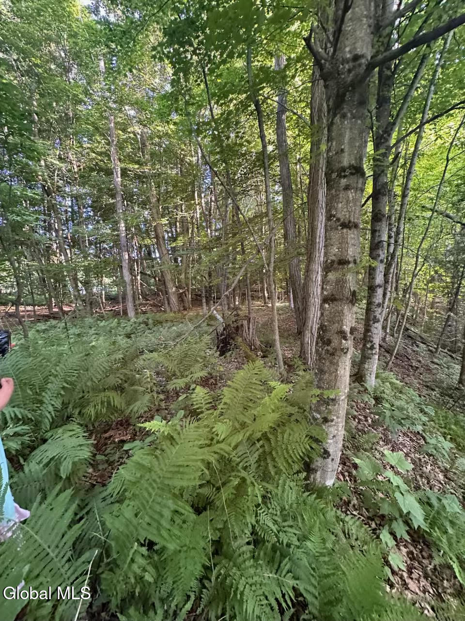 19 Porter Mill Road Crown Point, NY 12928 - Photo 4 of 27 unnamed (6)