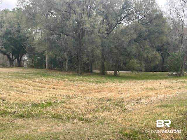 9150 Northfield Road Semmes, AL 36575 - Photo 16 of 16