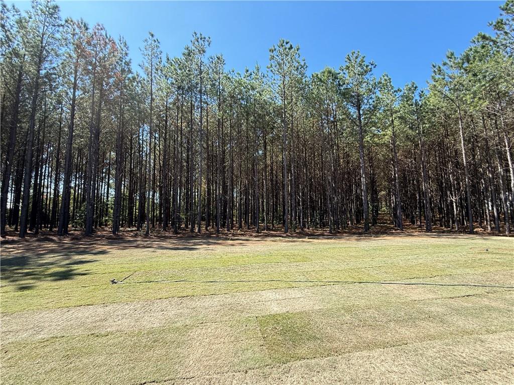 9008 Lee Road Salem, AL 36874 - Photo 30 of 30 Gallery Image 30