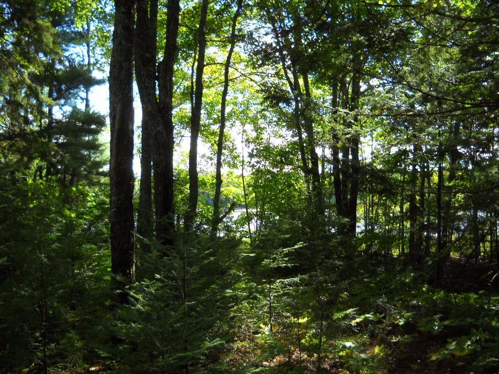 167 Silsby Road Ellsworth, ME 04605 - Photo 3 of 10 Photo