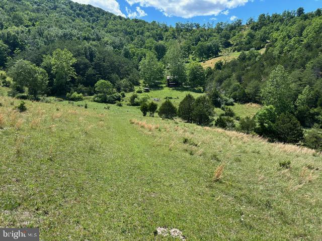 1096 Co Rte 10/2 Franklin, WV 26807 - Photo 18 of 23