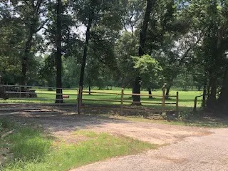 a view of a park