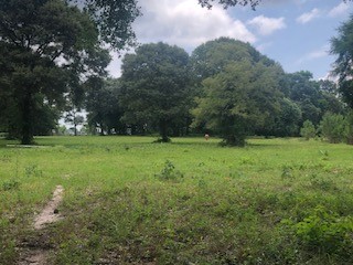 0 Counts Road Point Blank, TX 77364 - Photo 2 of 8 a view of green field with trees in the background