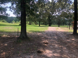 0 Counts Road Point Blank, TX 77364 - Photo 7 of 8 a view of a yard with a tree