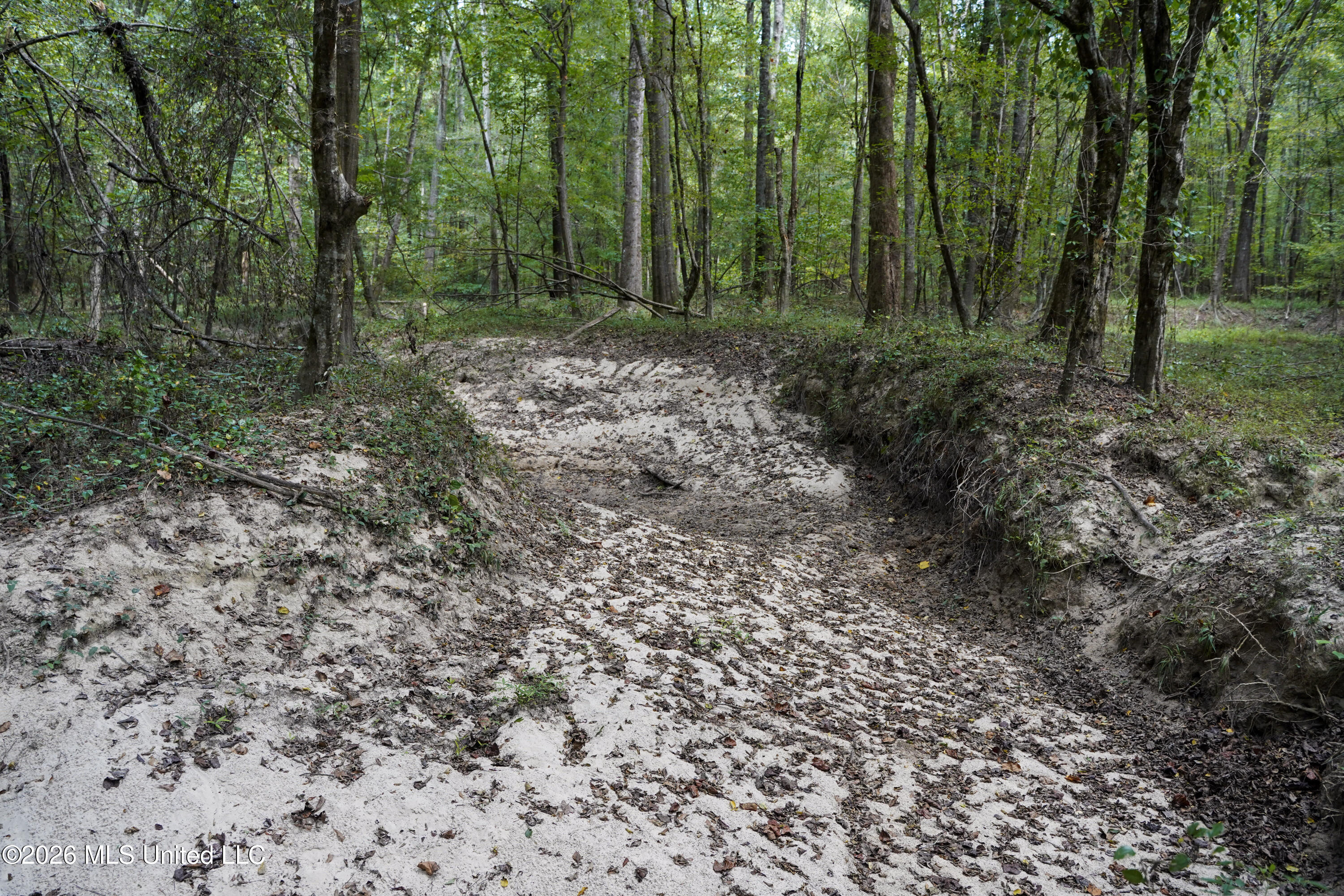 Mcintyre Road Brandon, MS 39042 - Photo 16 of 100 31-DSC08629