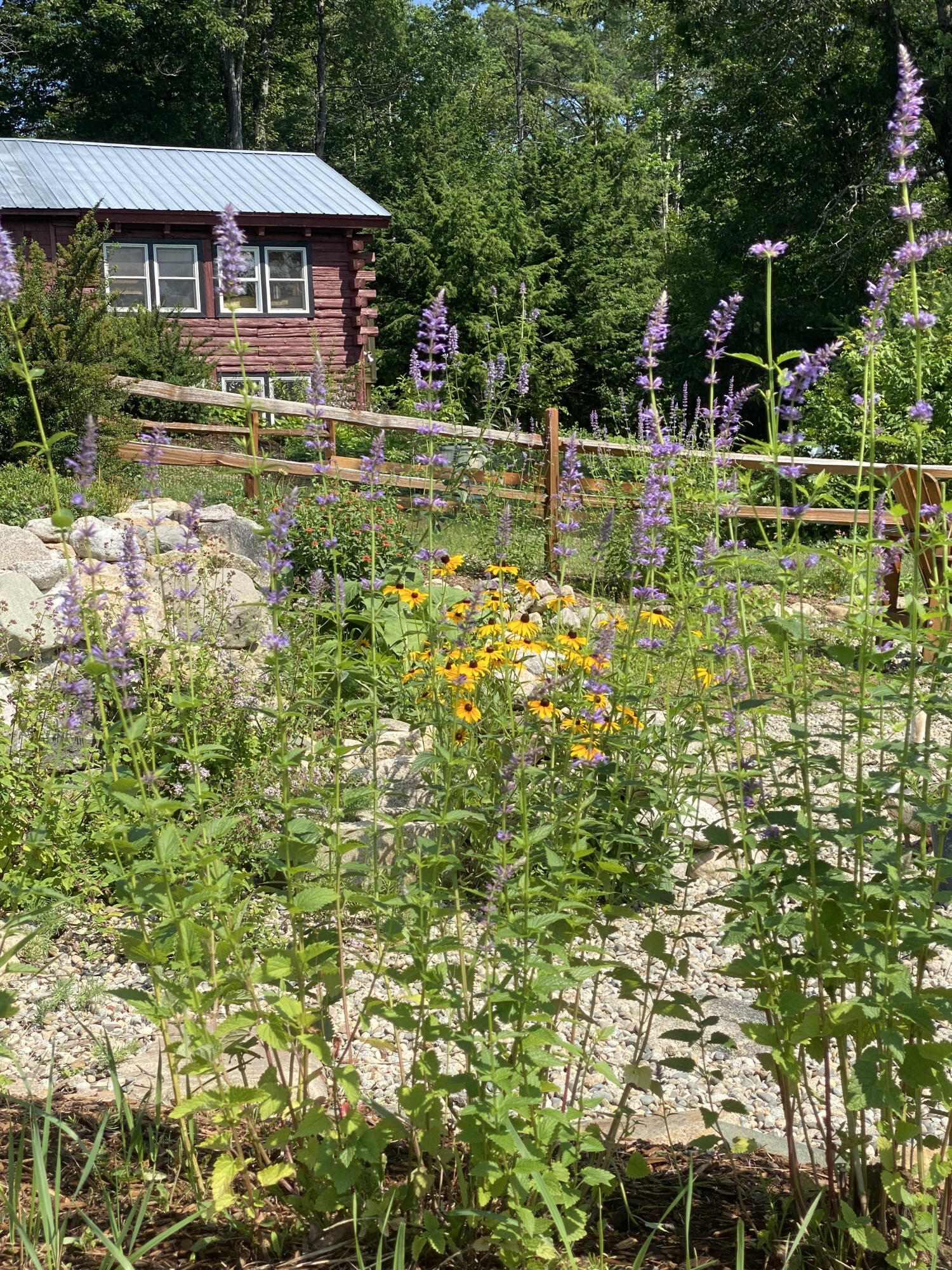 247 Wiley Road Naples, ME 04055 - Photo 9 of 64 Garden