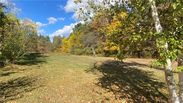 $220,000 | 13924 Mill Street, Springville, NY 14141