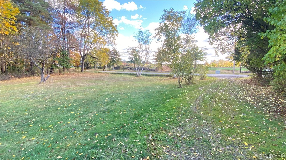 13924 Mill Street Springville, NY 14141 - Photo 25 of 34 Vacant Lot