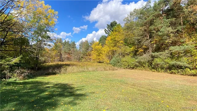 $220,000 | 13924 Mill Street, Springville, NY 14141