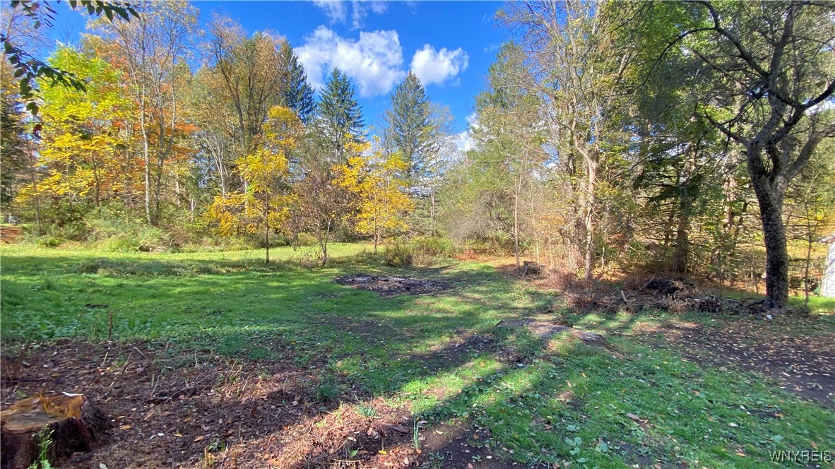 13924 Mill Street Springville, NY 14141 - Photo 31 of 34