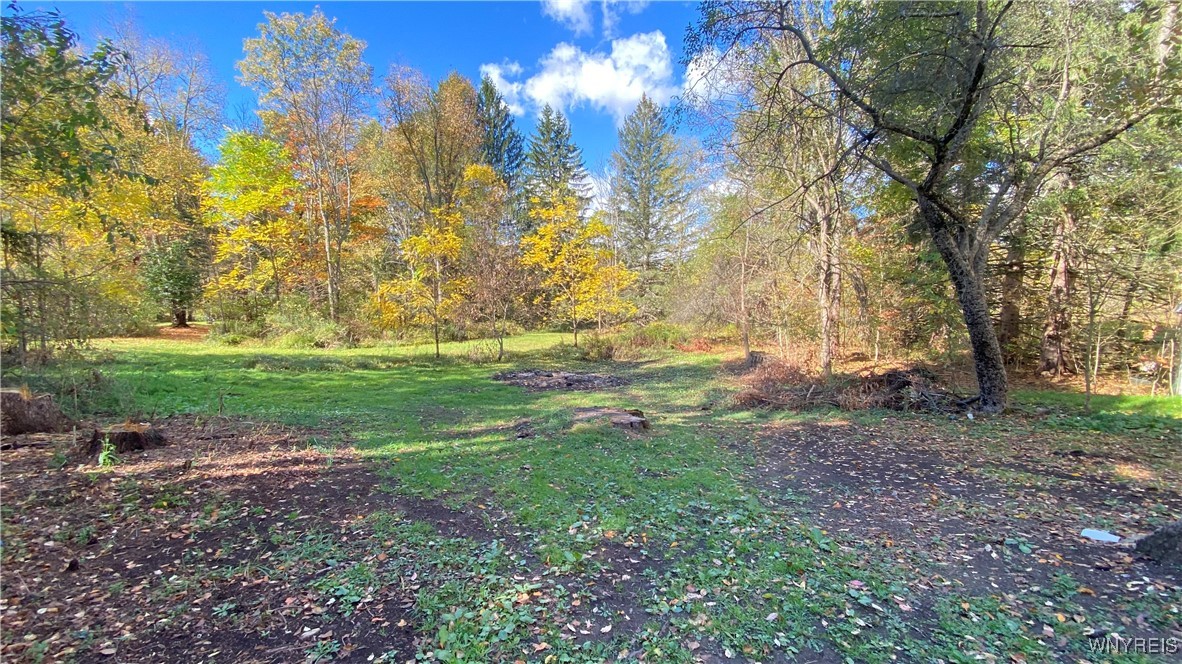 13924 Mill Street Springville, NY 14141 - Photo 33 of 34