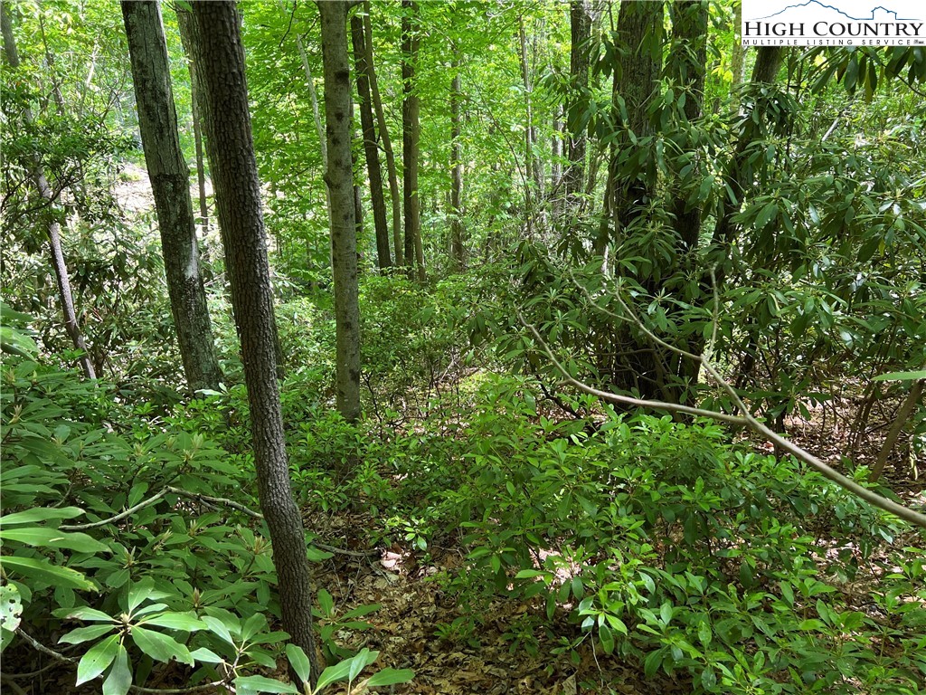 Lot 3 Little Laurel Road Boone, NC 28607 - Photo 1 of 4 Gallery Image 1